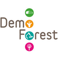 demo-forest-Qei-logo